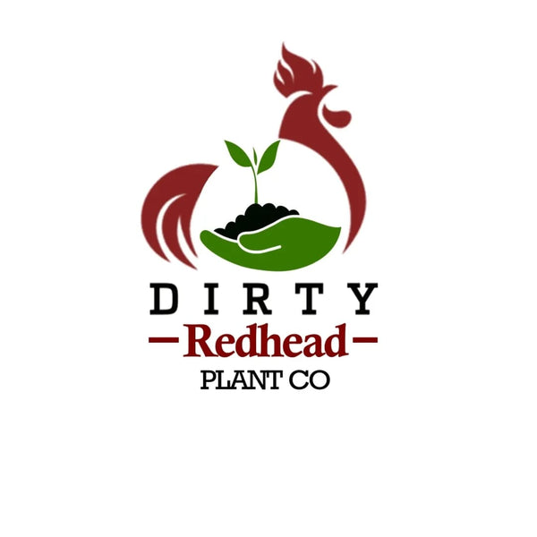 Dirty Redhead Plant Co